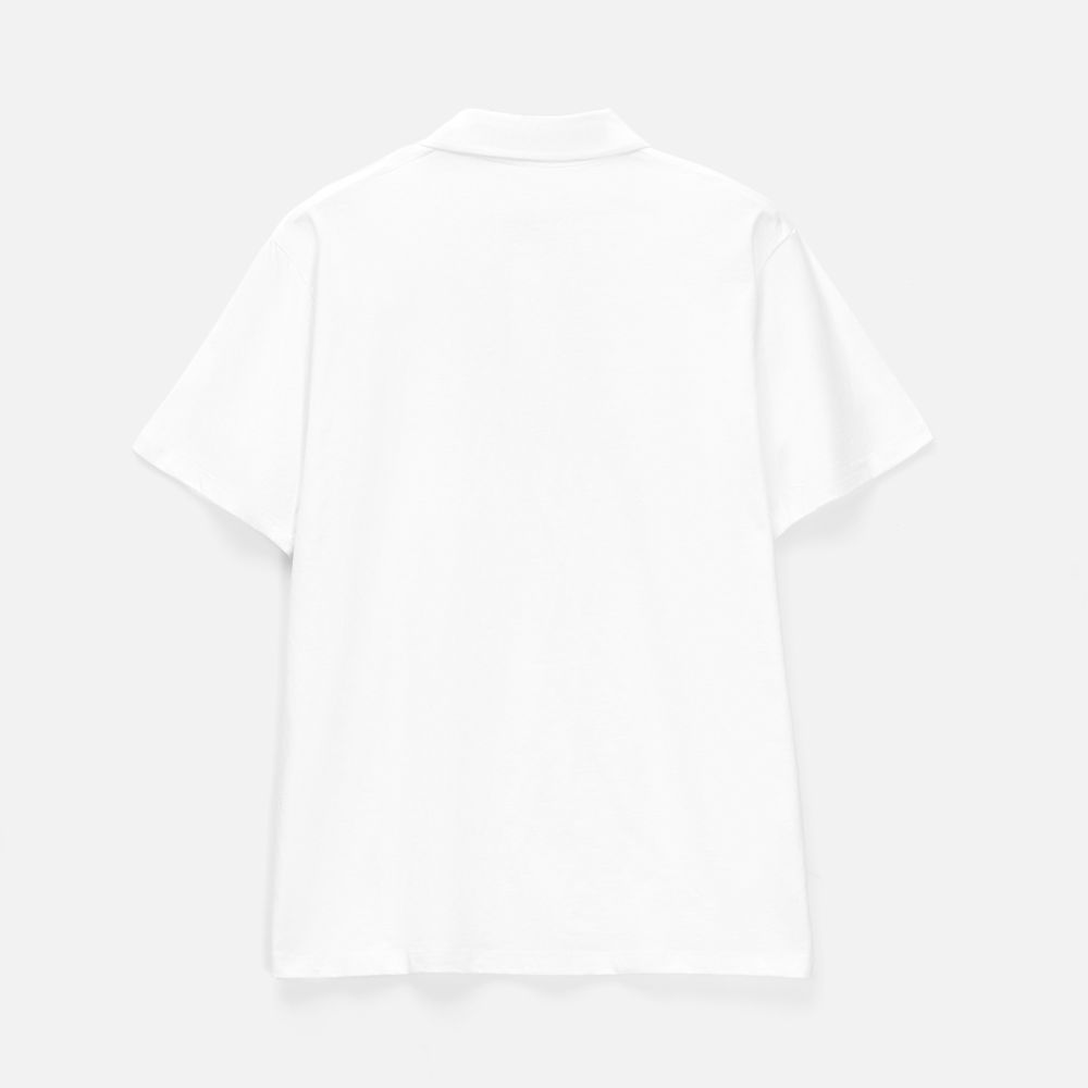 Рубашка поло мужская Prescott men 170 белая, размер 3XL