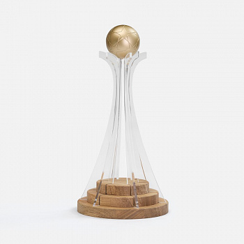 Кубок Everball c 3D-элементами